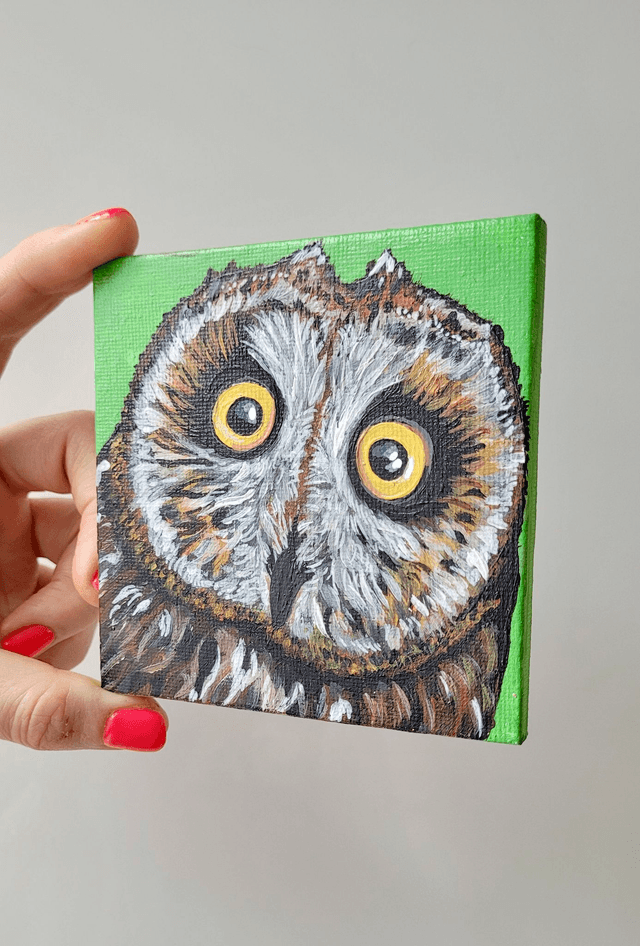 Original Mini Canvas Painting – Owl Close Up Startled Face