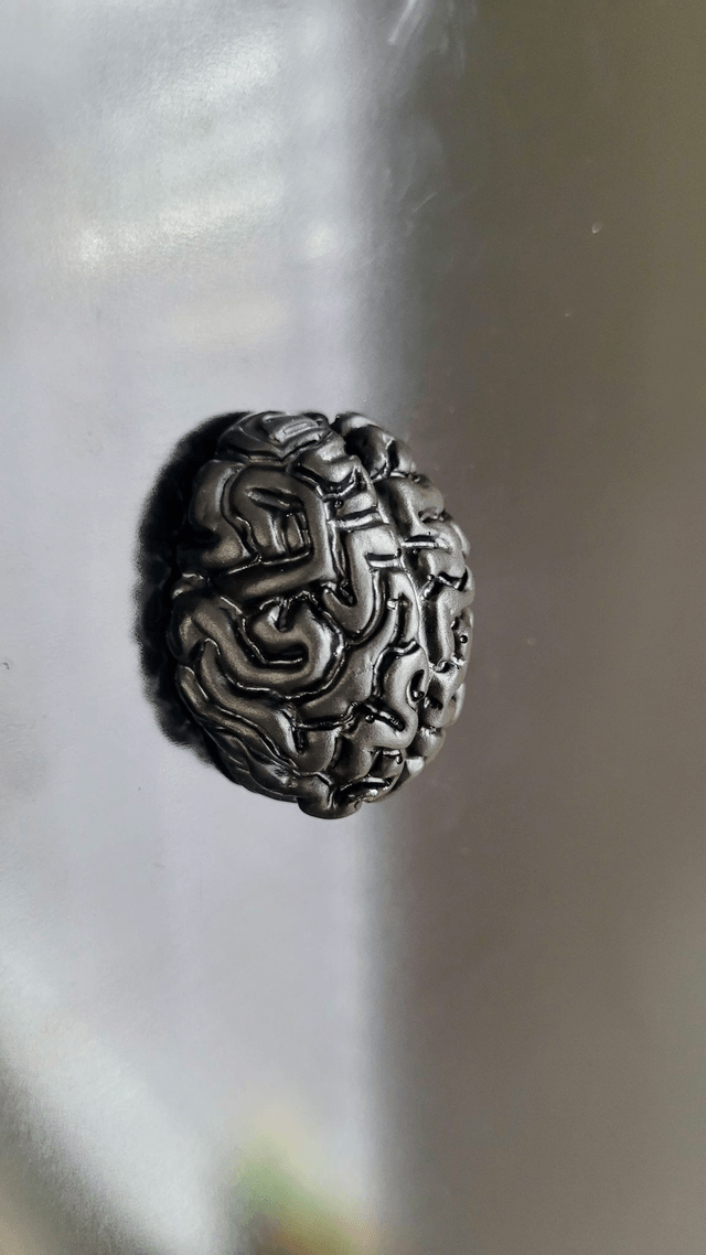 Handmade Resin Brain Magnet – Various colours