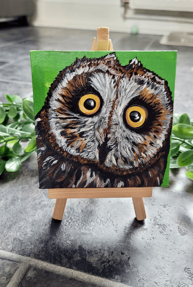 Original Mini Canvas Painting – Owl Close Up Startled Face