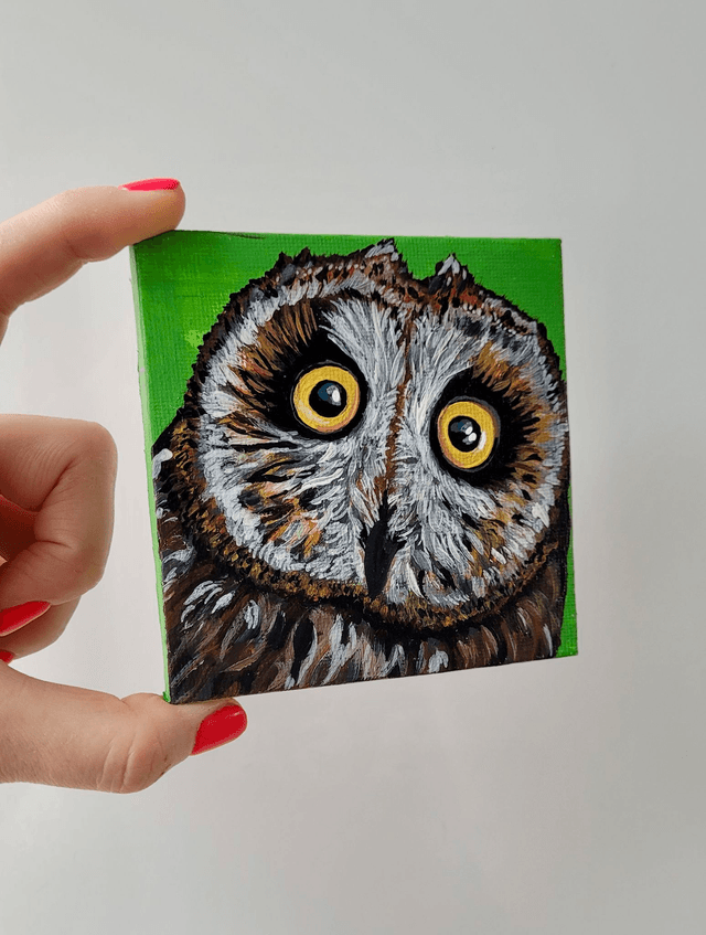 Original Mini Canvas Painting – Owl Close Up Startled Face