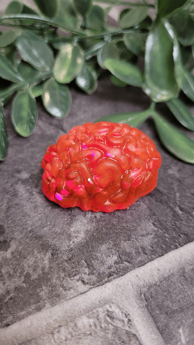 Handmade Resin Brain Magnet – Various colours