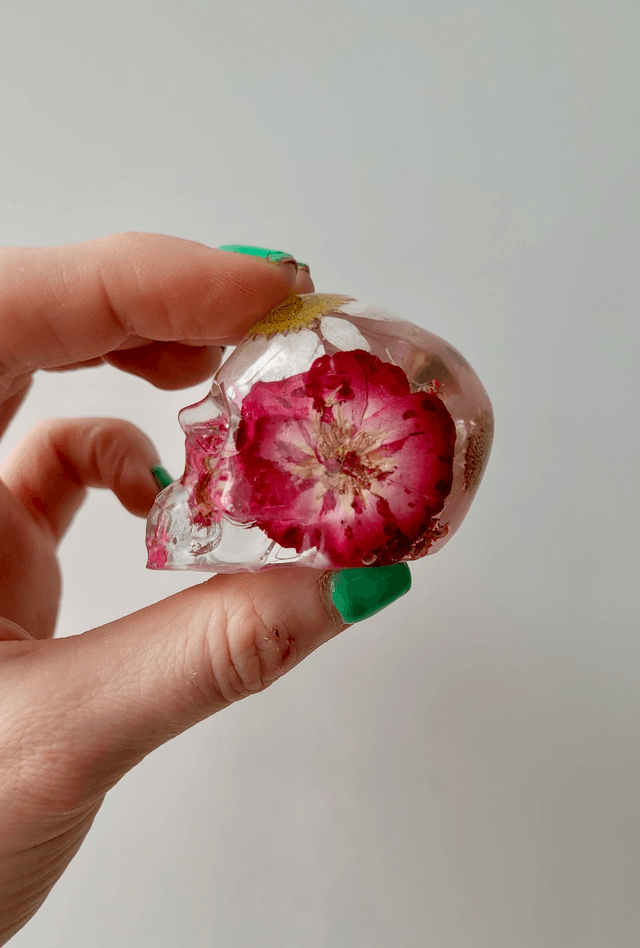 Skull Ornament - Medium -  Clear with Dried Flowers - White & yellow daisy in top