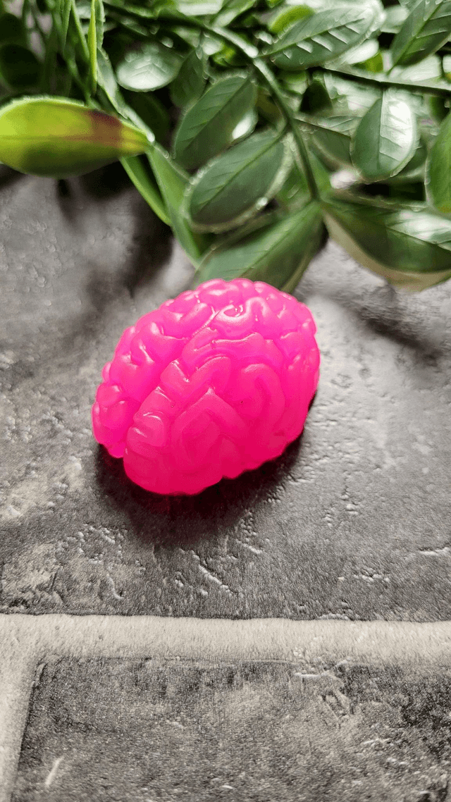 Handmade Resin Brain Magnet – Various colours