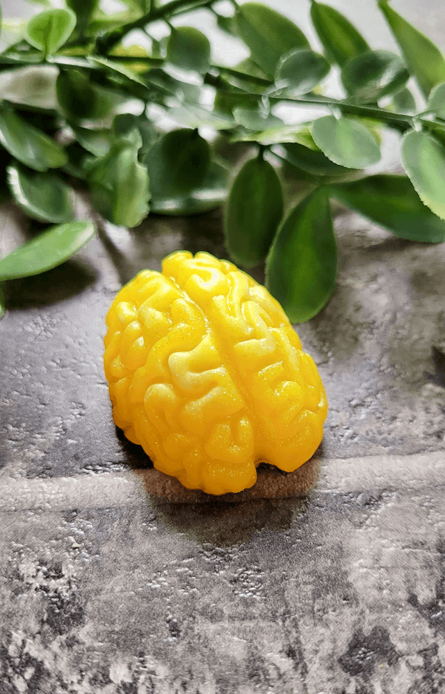 Handmade Resin Brain Magnet – Various colours