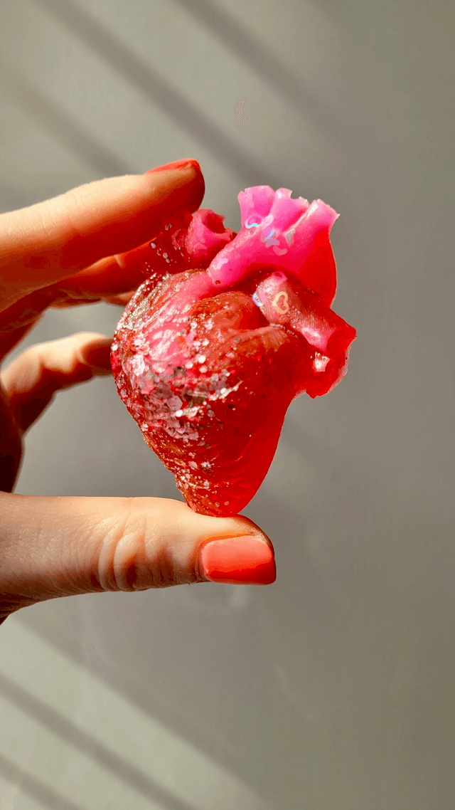 Anatomical Heart Magnets - Various Colourways