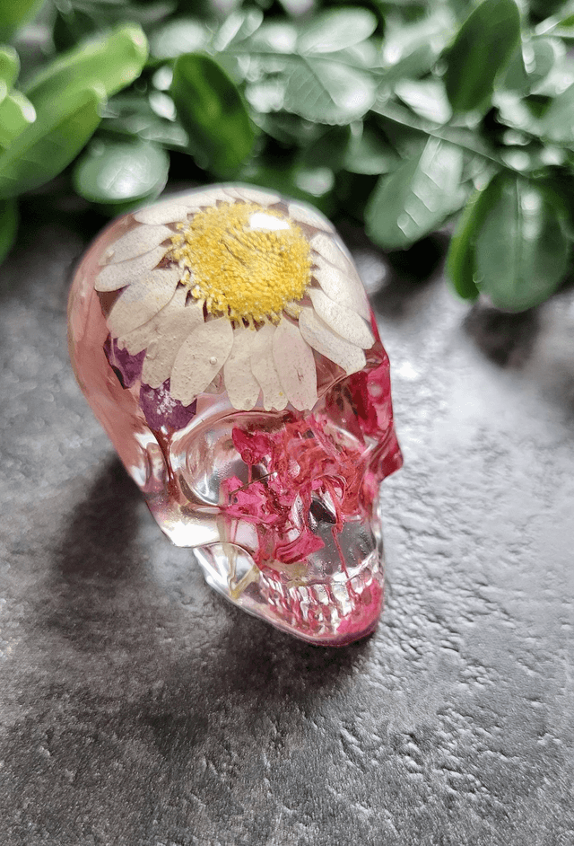 Skull Ornament - Medium -  Clear with Dried Flowers - White & yellow daisy in top
