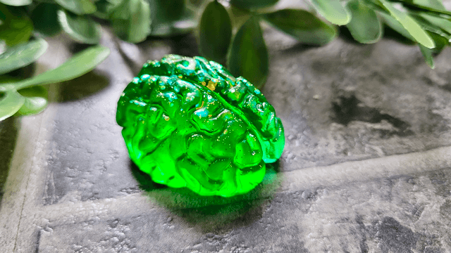 Handmade Resin Brain Magnet – Various colours