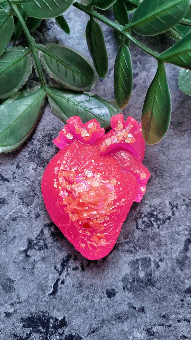 Anatomical Heart Magnets - Various Colourways