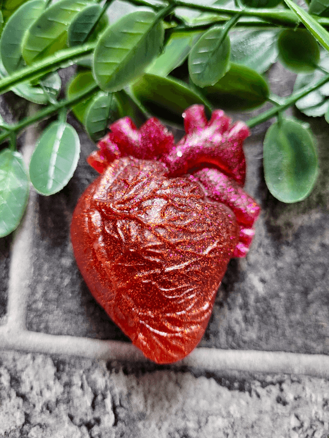 Anatomical Heart Magnets - Various Colourways