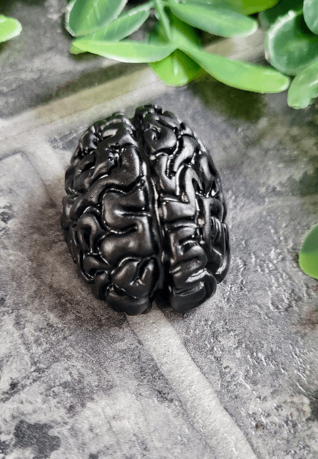 Handmade Resin Brain Magnet – Various colours