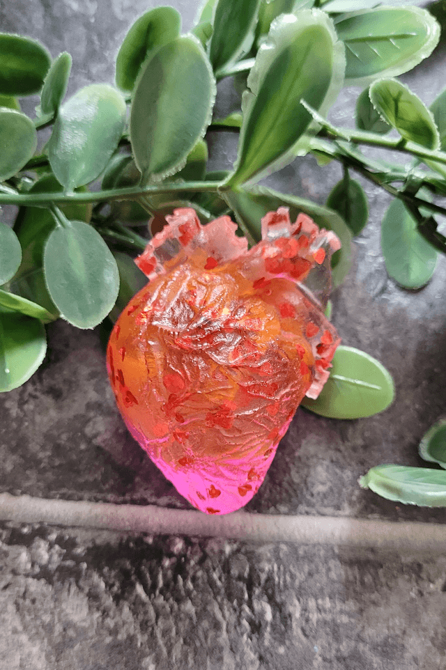 Anatomical Heart Magnets - Various Colourways
