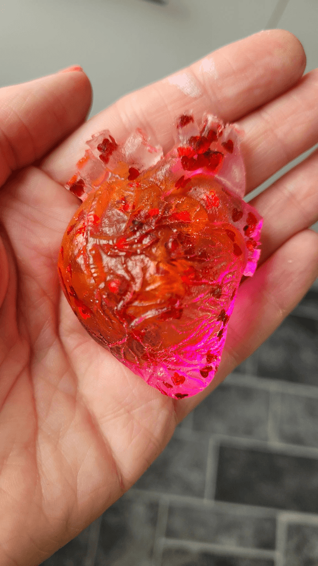 Anatomical Heart Magnets - Various Colourways