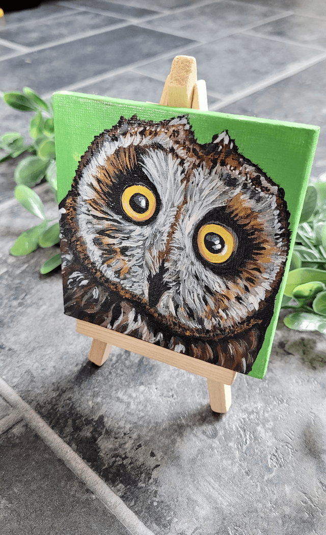 Original Mini Canvas Painting – Owl Close Up Startled Face