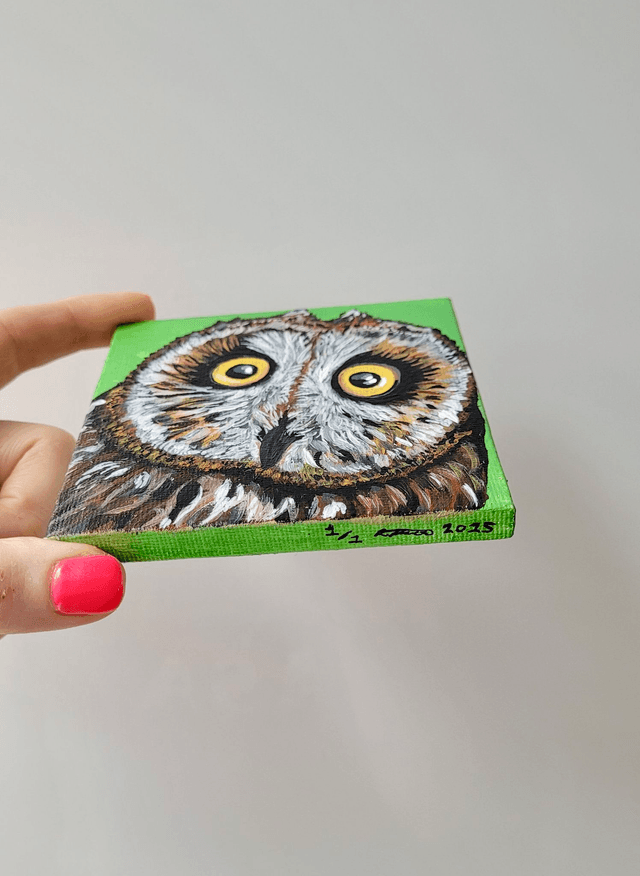 Original Mini Canvas Painting – Owl Close Up Startled Face