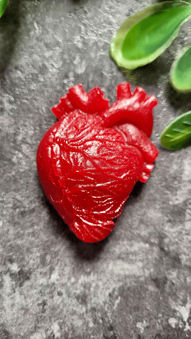 Anatomical Heart Magnets - Various Colourways