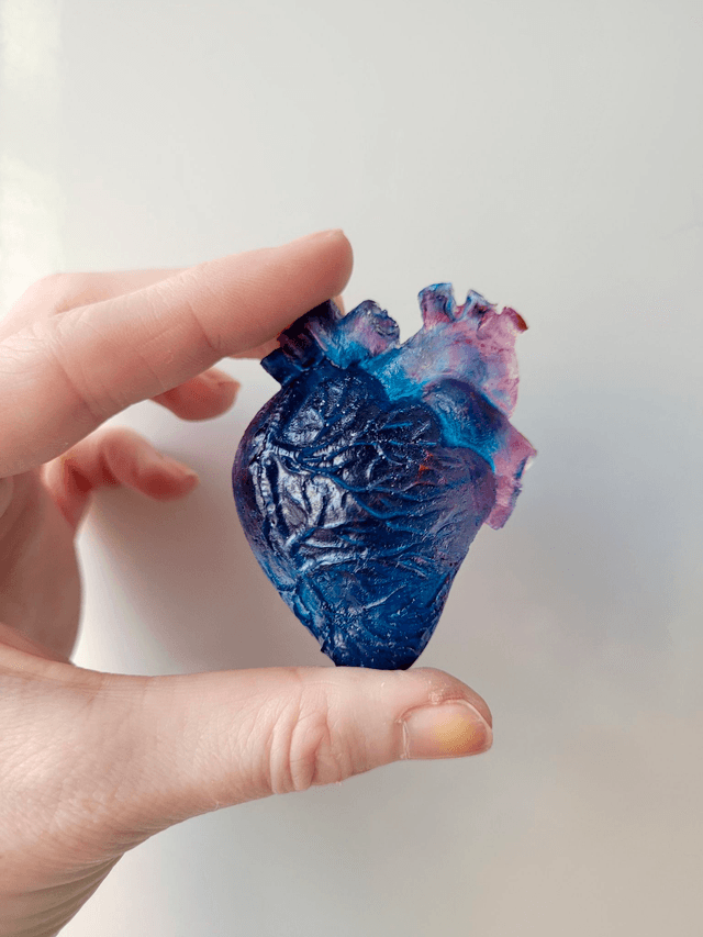 Anatomical Heart Magnets - Various Colourways