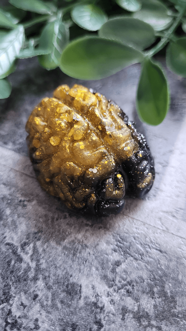 Handmade Resin Brain Magnet – Various colours
