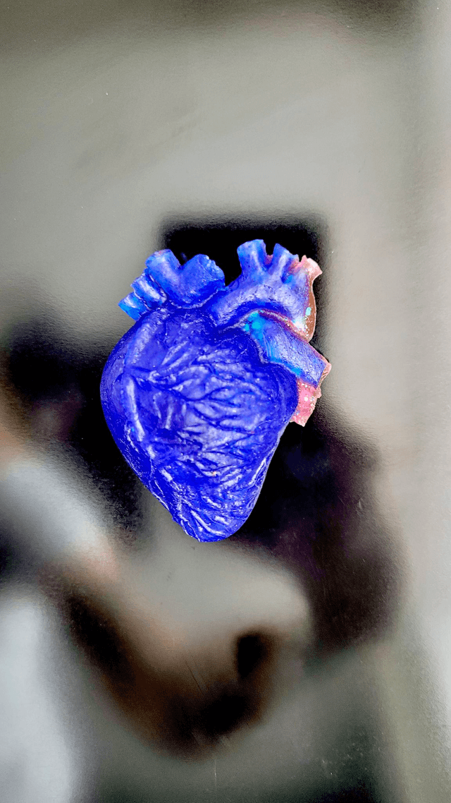 Anatomical Heart Magnets - Various Colourways
