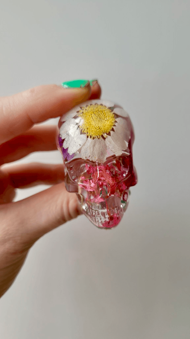 Skull Ornament - Medium -  Clear with Dried Flowers - White & yellow daisy in top