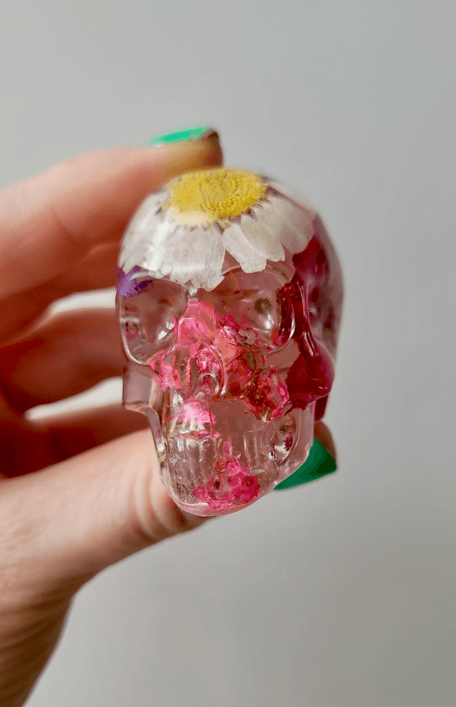 Skull Ornament - Medium -  Clear with Dried Flowers - White & yellow daisy in top