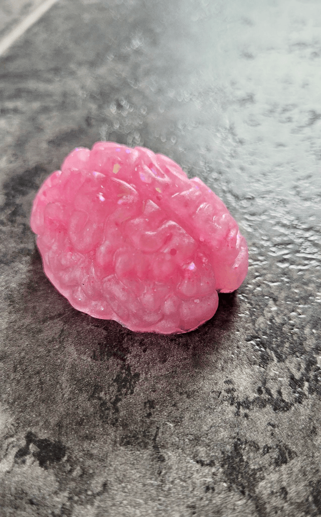 Handmade Resin Brain Magnet – Various colours