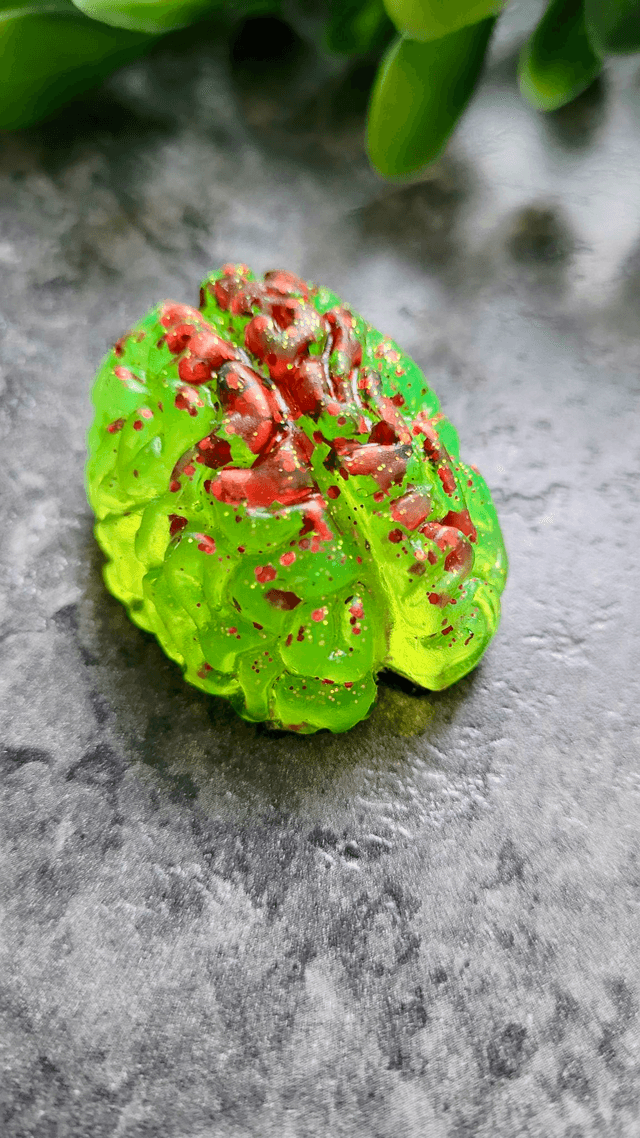 Handmade Resin Brain Magnet – Various colours