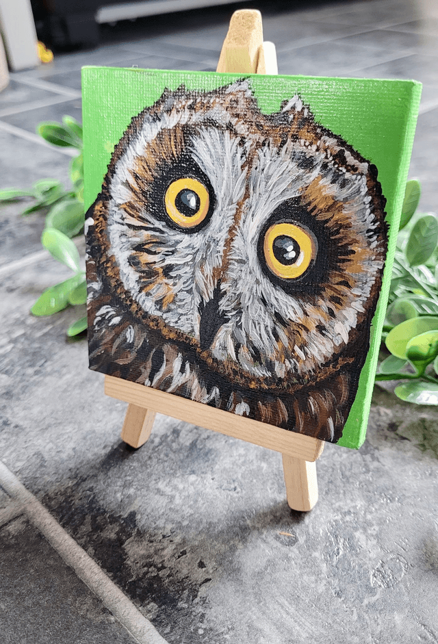 Original Mini Canvas Painting – Owl Close Up Startled Face