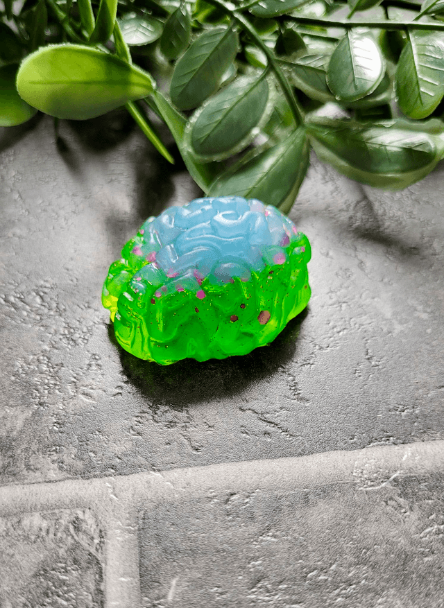 Handmade Resin Brain Magnet – Various colours