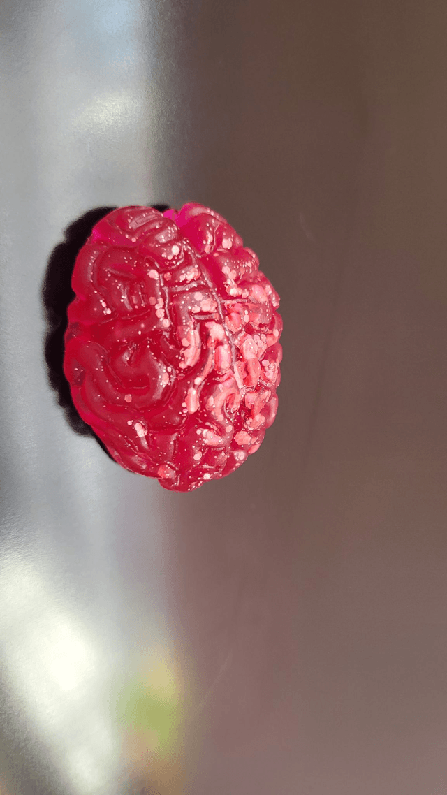 Handmade Resin Brain Magnet – Various colours